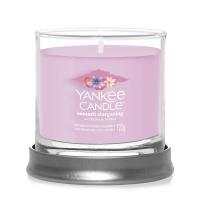 Yankee Candle Summit Stargazing Small Tumbler Jar Extra Image 1 Preview